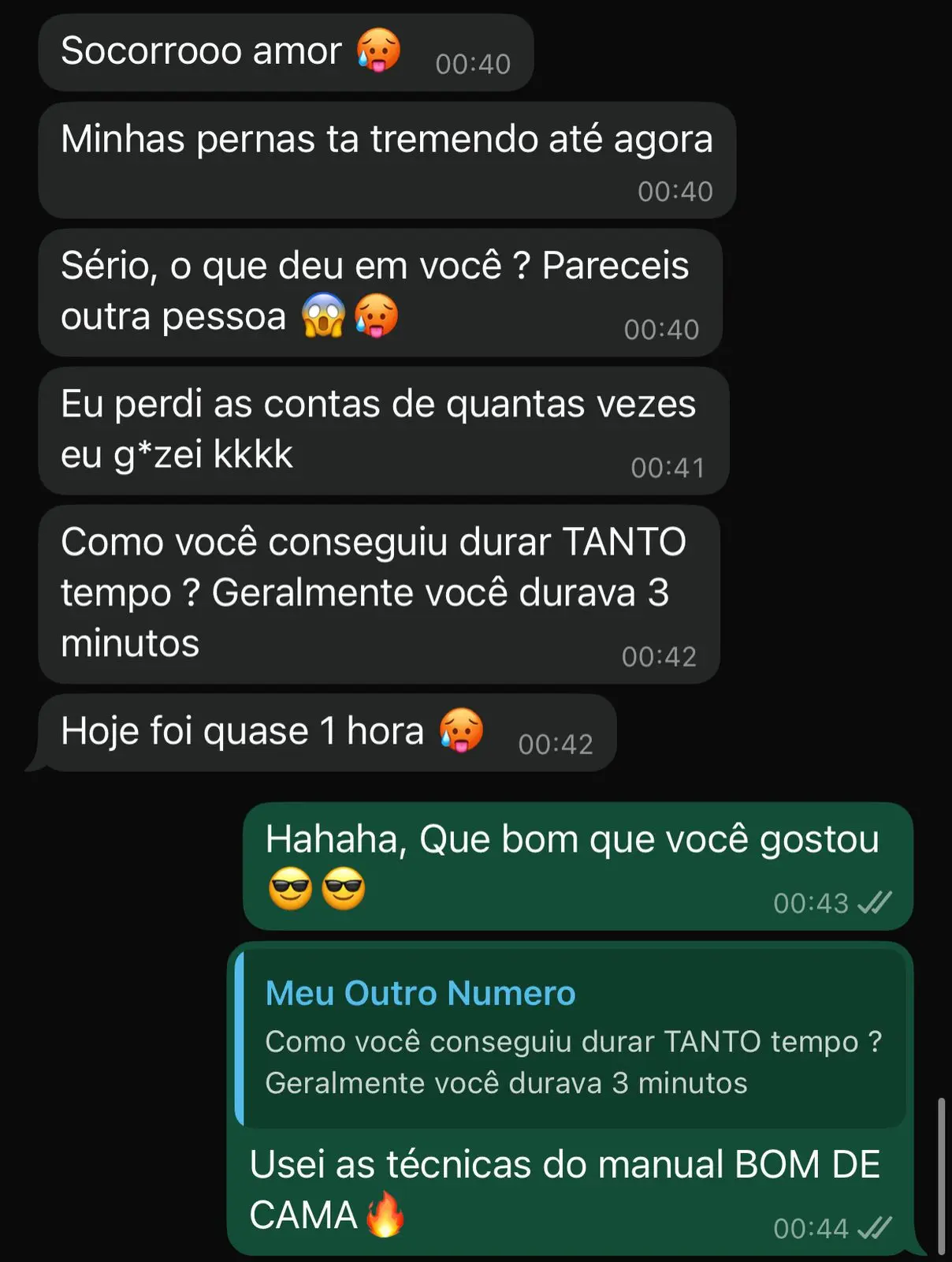 imagem_2025-04-12_023215235