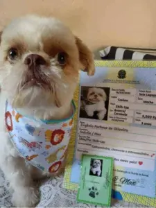 imagem_2025-07-08_000018218