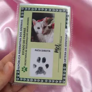 imagem_2025-07-08_000036615