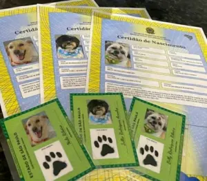 imagem_2025-07-08_000109121