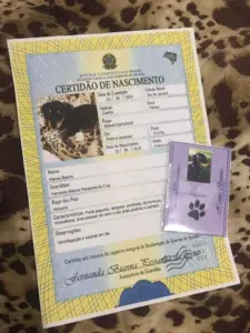 imagem_2025-07-08_000130184