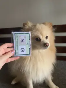 imagem_2025-07-08_000220161