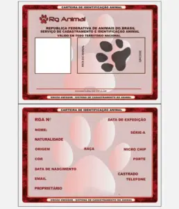 imagem_2025-07-08_000956963