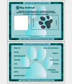 imagem_2025-07-08_001016707