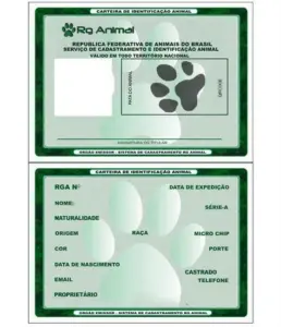 imagem_2025-07-08_001031386